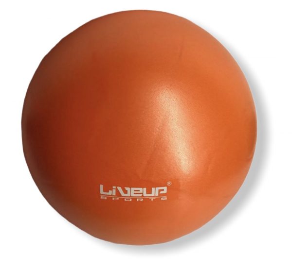 Balón de ejercicio de 25 cm