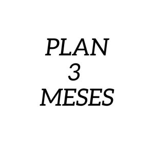 Plan 3 meses