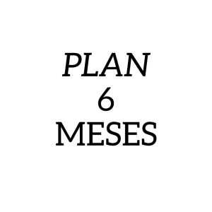 Plan 6 meses