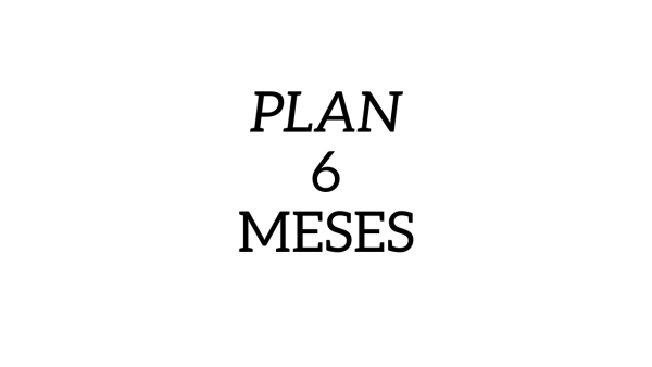 Plan 6 meses